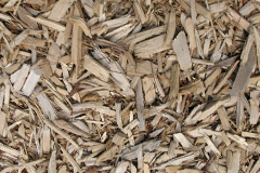 biomass boilers Trevalga