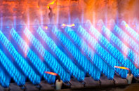 Trevalga gas fired boilers